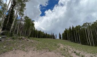 2 Skyline Terrace Ct, Beaver, UT 84713