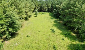 County Road 127, Banks, AL 36005