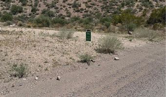 Carp Road, Caliente, NV 89008