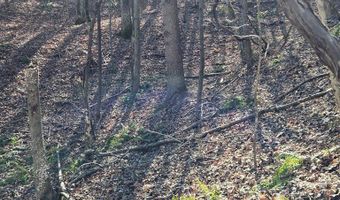River Oak drive lot 7, Big Sandy, TN 28320