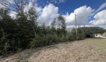Vancouver Drive, Alford, FL 32420