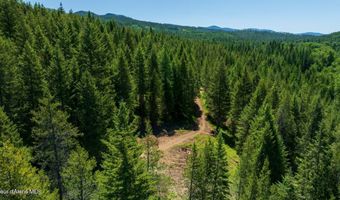Kreiger Creek Rd, Careywood, ID 83809
