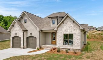 10597 Brownspring Dr 115, Apison, TN 37302