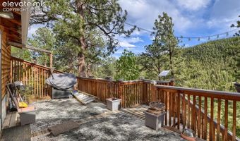 226 Hall Rd, Bailey, CO 80421