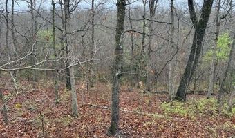 Lot 42 Lookout DR, Bella Vista, AR 72714