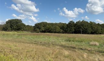 330 Rolling Ranch Blvd, Alvord, TX 76225
