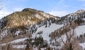 304 S GARMISCH St, Aspen, CO 81611