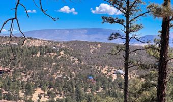 217 Deer Park Dr Lot 101, Alto, NM 88312