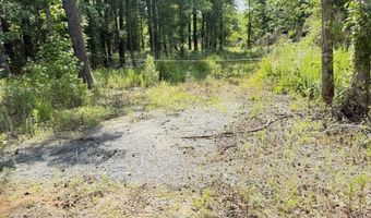 Perkins Road, Barnesville, GA 30204