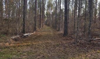 U.S. Highway 51, Bogue Chitto, MS 39629