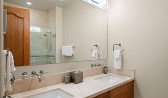 691 Pfister Dr, Aspen, CO 81611