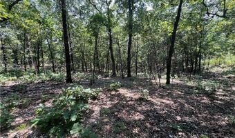 71 8 Klondike Rd, Anderson, MO 64831