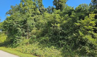 97 Destination Dr, Asheville, NC 28806
