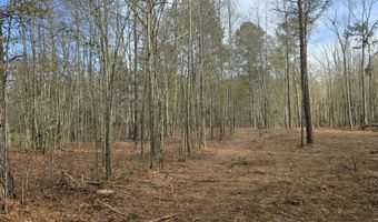 Yatesville Road, Barnesville, GA 30204