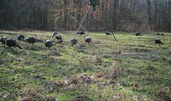 217 281, Banner, MS 38913