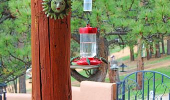 39 Martin Luther King Jr Blvd, Angel Fire, NM 87710