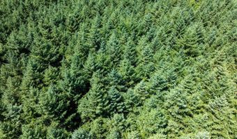 2511 S PARKWAY Ave, Battle Ground, WA 98604