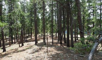 0 Caesar Rd, Black Hawk, CO 80422
