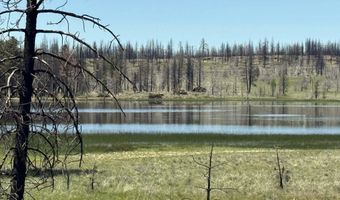 Off Hicks Road Lot 3, Bly, OR 97622