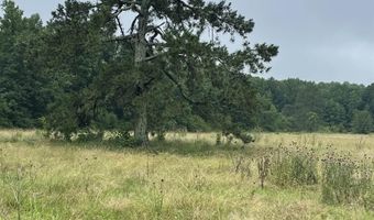 2403 Hog Jaw Rd, Arab, AL 35016