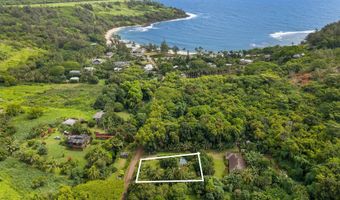 3665 MOLOAA Rd, Kapaa, HI 96746