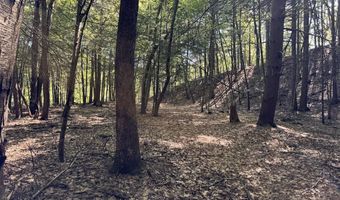 Lot 20 -20.3 Farr Road Lot 20-Lot 20.3 Farr Rd and Lot 11-11-1 Brook St, Chesterfield, NH 03466