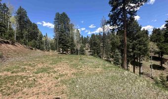 Lot 91ab Pam Coleman Drive, Angel Fire, NM 87710