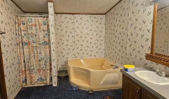 672 Brock Rd, Arabi, GA 31712