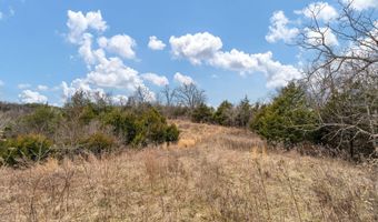 Smithtown Road, Afton, TN 37616
