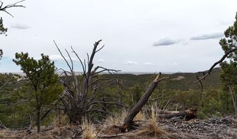 County Rd. 312.1 lot 127, Aguilar, CO 81020