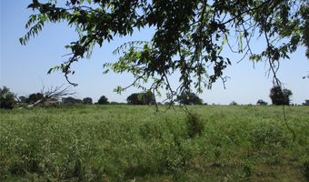 Rains County Road 2360, Alba, TX 75410