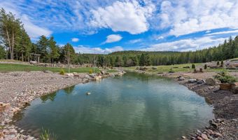 310 Rocky Woods Ln, Bigfork, MT 59911