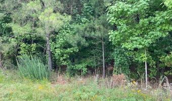 Daniels Lane lot 1-D, Bennettsville, SC 29512