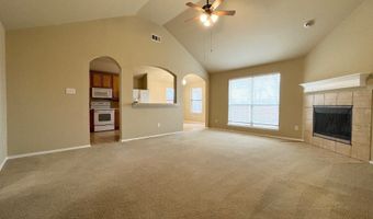 233 Niagara Falls Dr, Anna, TX 75409