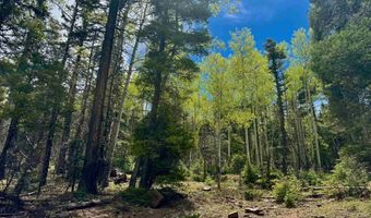 Lot 455 El Camino Real, Angel Fire, NM 87710