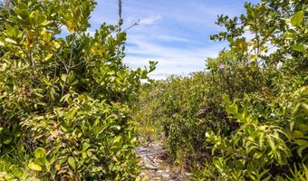 15-925 LEMIWAI Rd, Keaau, HI 96749
