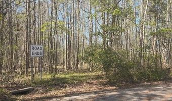 Freeman Street lot 5, Brunson, SC 29911