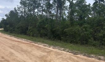 Abraham Street, Alford, FL 32420