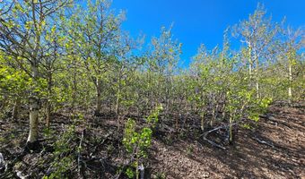 Nhn Alpha Lode & Alpha Fraction Lode Alpha Trail, Anaconda, MT 59711