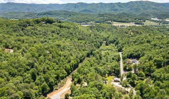 1064 Pinedale Ln, Andrews, NC 28901