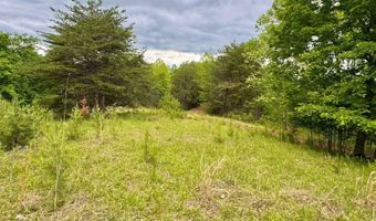 2062 Jake Fork Rd, Arnoldsburg, WV 25234