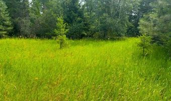 NNA Ginger Ln, Bonners Ferry, ID 83805