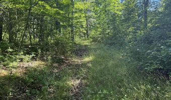 750 HICKORY CORNER Rd, Augusta, WV 26704
