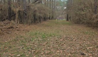 U.S. Highway 51, Bogue Chitto, MS 39629