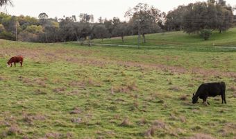 514 Appaloosa Way, Angels Camp, CA 95222