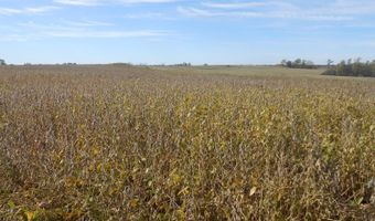 5967 335th St, Albany, MO 64402