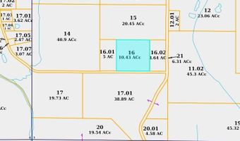 10 43ac CR 193, Blue Springs, MS 38828