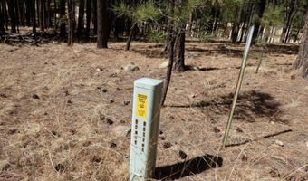 8 B County Road 2267 Escudilla Rd, Alpine, AZ 85920