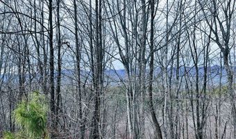 1441 Valley View Heights Ln Lot 3, Andrews, NC 28901