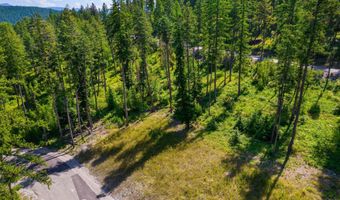 246 Trading Post Trl, Bigfork, MT 59911